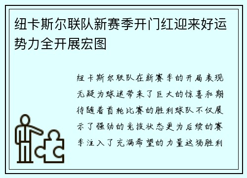 纽卡斯尔联队新赛季开门红迎来好运势力全开展宏图