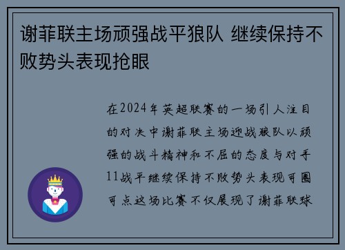 谢菲联主场顽强战平狼队 继续保持不败势头表现抢眼