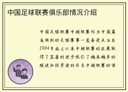 中国足球联赛俱乐部情况介绍