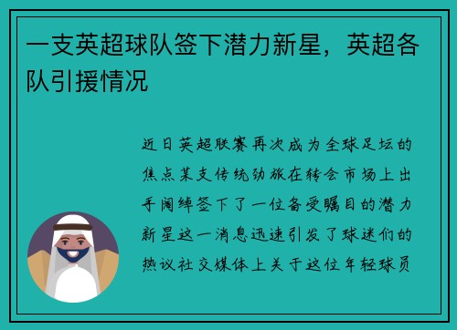 一支英超球队签下潜力新星，英超各队引援情况
