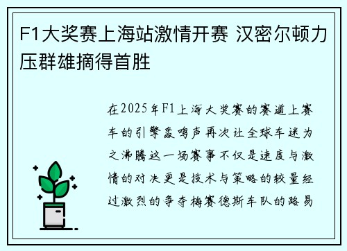 F1大奖赛上海站激情开赛 汉密尔顿力压群雄摘得首胜